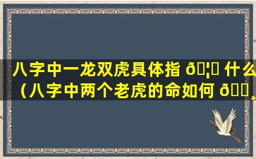 八字中一龙双虎具体指 🦟 什么（八字中两个老虎的命如何 🕸 ）